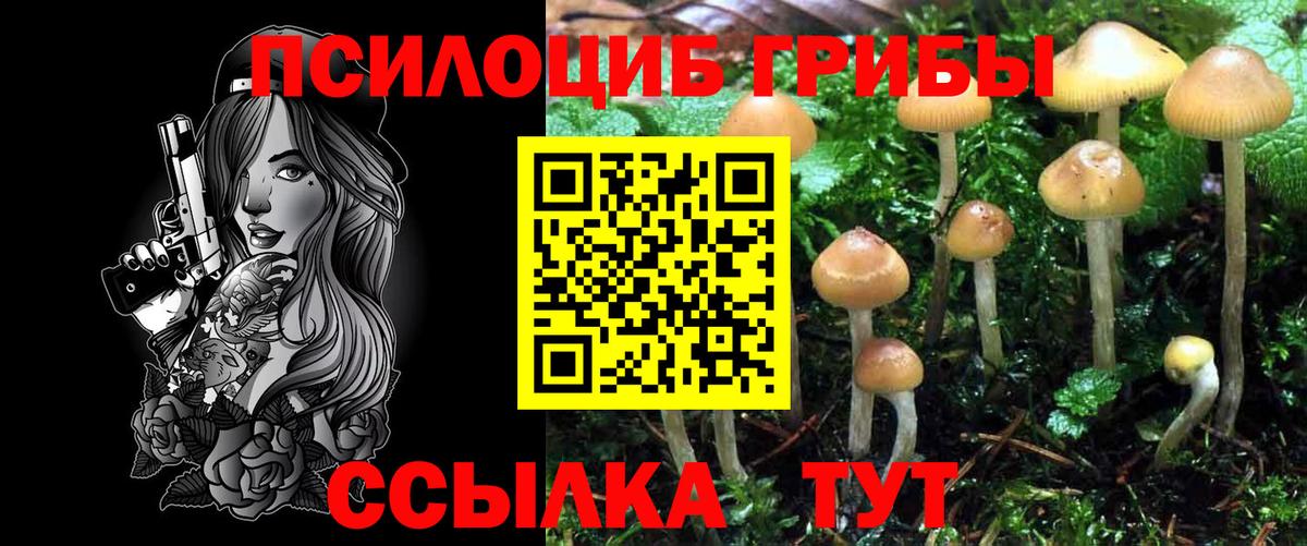 Галлюциногенные грибы ЛСД  Вход с VPN  Звенигород 